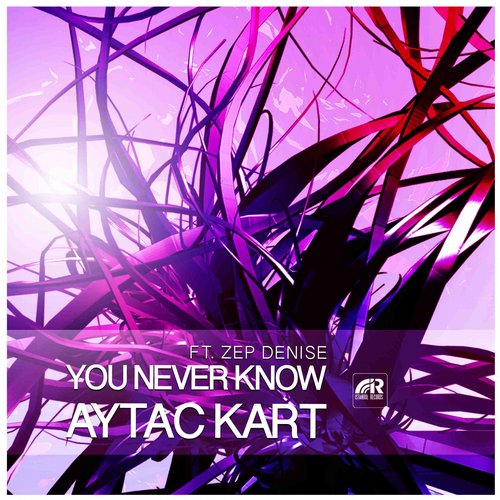 Aytac Kart Feat. Zep Denise – You Never Know