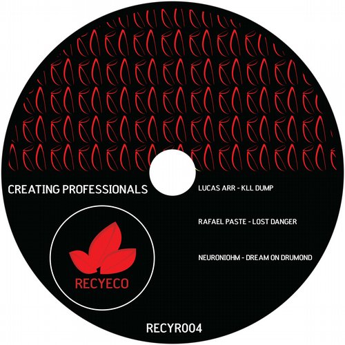 Lucas Arr – Creating Professionals