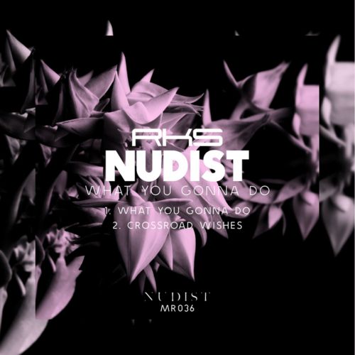 Nudist – What You Gonna Do