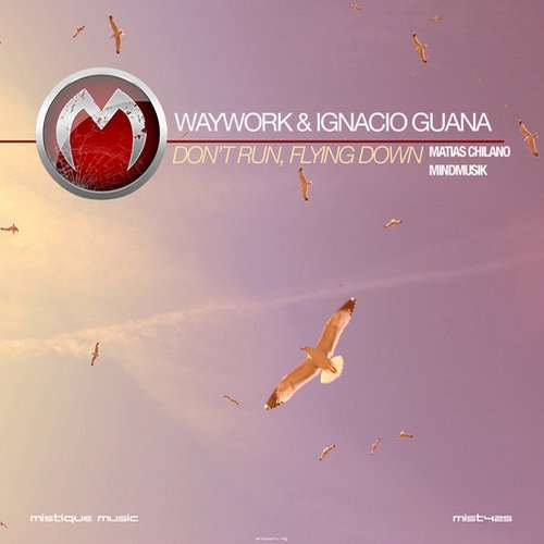 WayWork & Ignacio Guana – Don’t Run, Flying Down