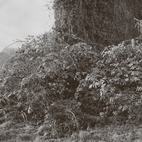 Madmotormiquel – Klinken