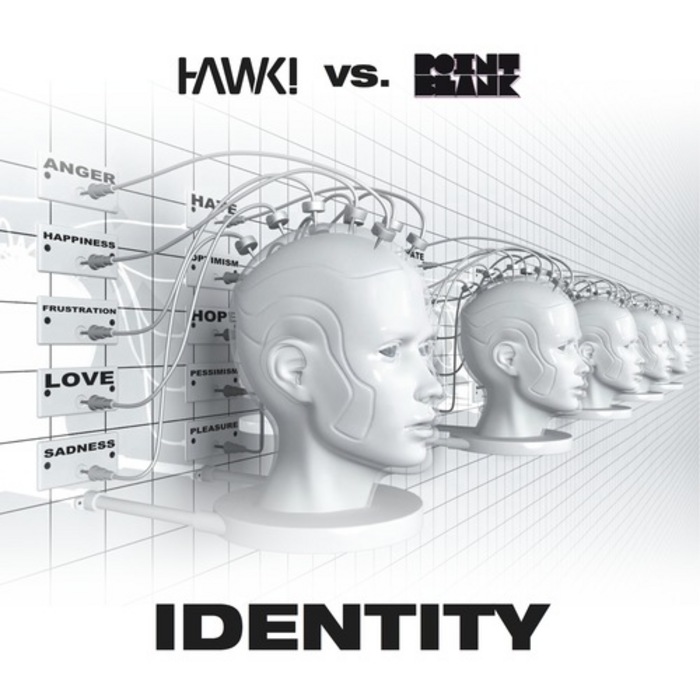 Hawk vs. Point Blank – Identity