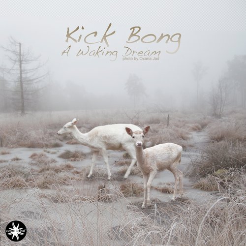 Kick Bong – A Waking Dream