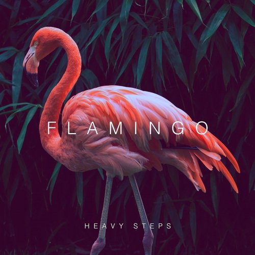 Flamingo – Heavy Steps