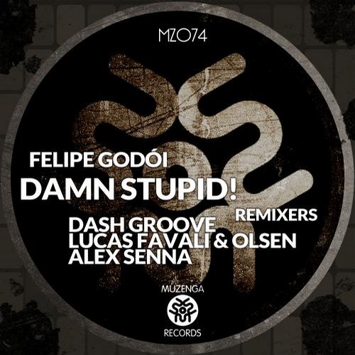 Felipe Godoi – Damn Stupid!