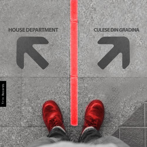 House Department – Culese Din Gradina