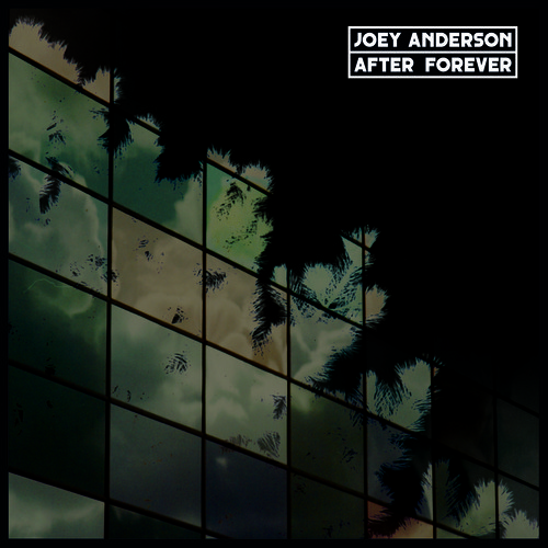 Joey Anderson – After Forever