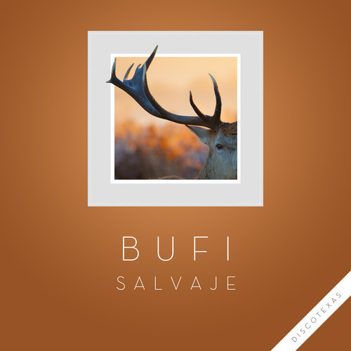 Bufi – Salvaje