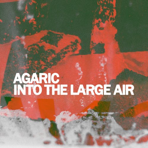 Agaric – Into The Large Air
