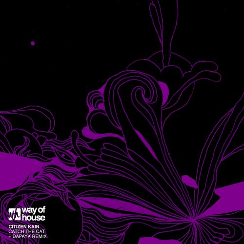 Citizen Kain – Catch the Cat