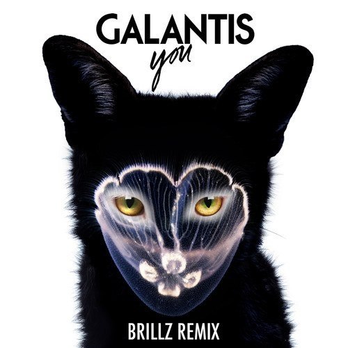 Galantis – You (Brillz Remix)