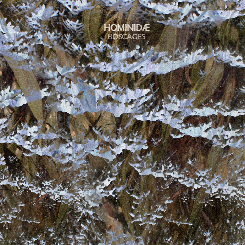 Hominidae – Boscages