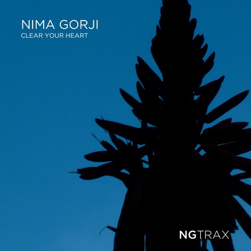Nima Gorji – Clear Your Heart