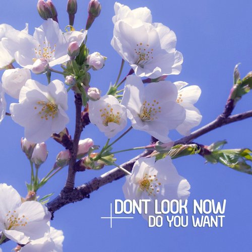 Dont Look Now – Do You Want