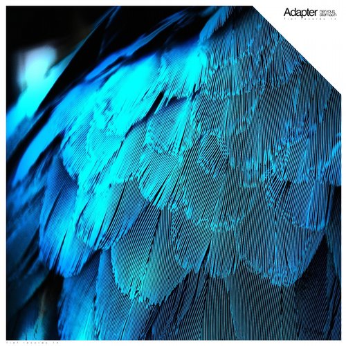 Adapter – Nervous Stomach