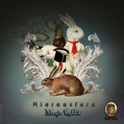 Microesfera – Magic Rabbit
