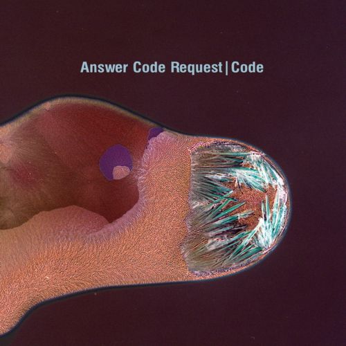 Answer Code Request – Code