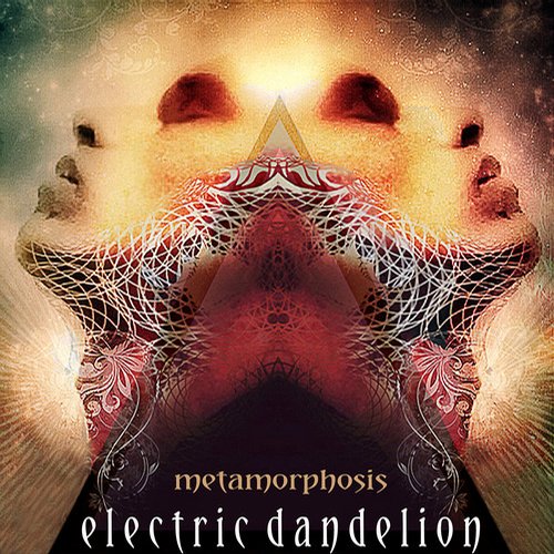 Electric Dandelion – Metamorphosis