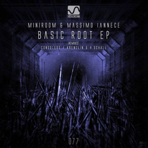 Massimo Iannece & Miniroom – Basic Root EP
