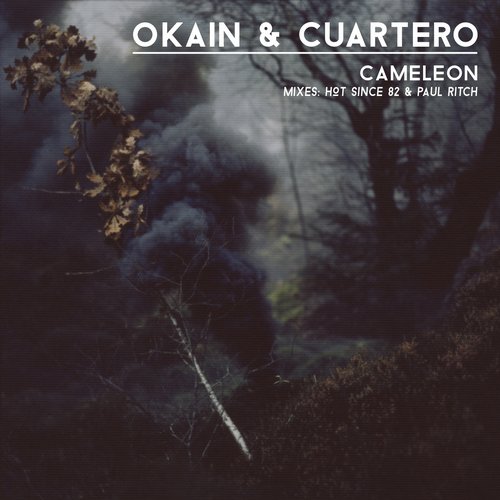 Cuartero & Okain – Cameleon