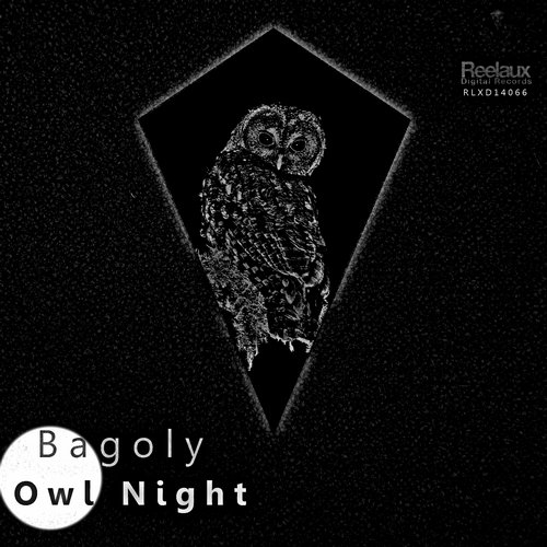 Bagoly – Owl Night
