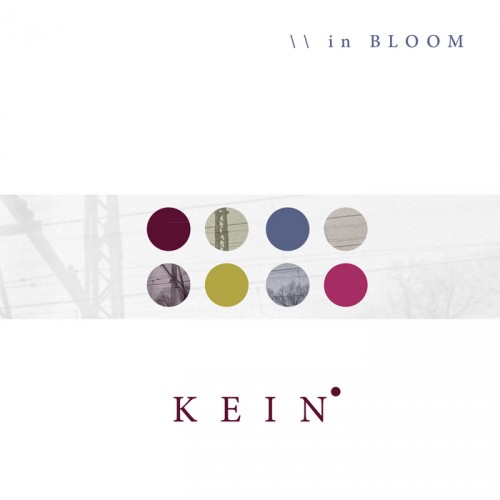 Kein – In Bloom