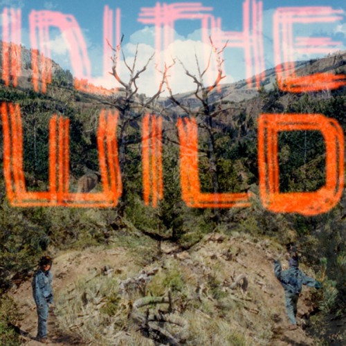 FaltyDL – In the Wild