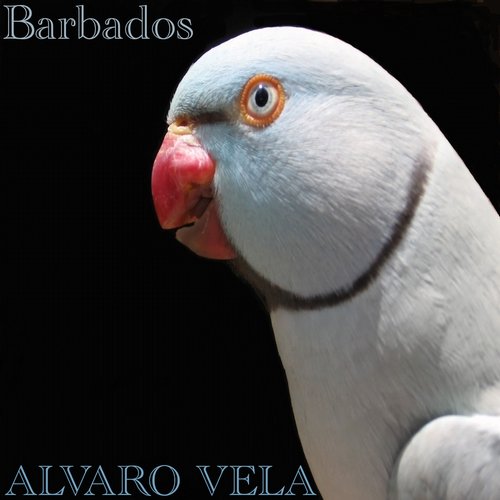 Alvaro Vela – Barbados