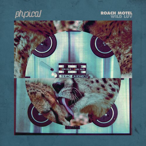 Roach Motel – Wild Luv