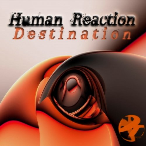 Human Reaction – Destination