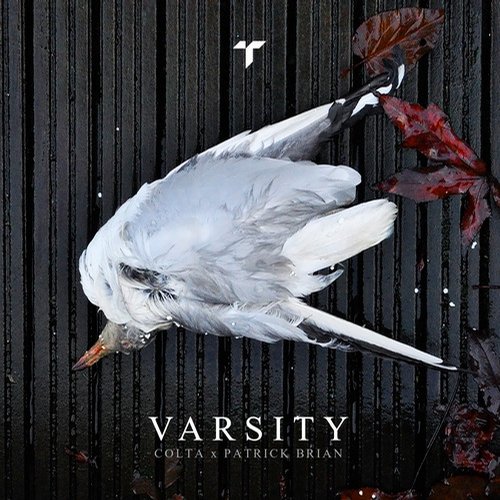 Varsity – Grunt / Lingerer Dub