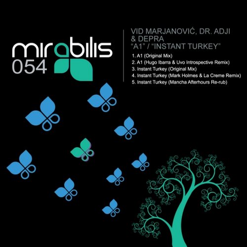 Vid Marjanovic & DR. ADJI – A1 / Instant Turkey