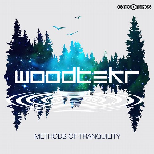Woodtekr – Methods of Tranquility