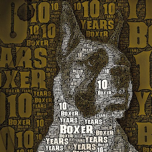 Boxer Recordings #Beatportdecade Tech House