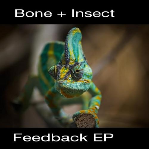 Bone & Insect – Feedback EP
