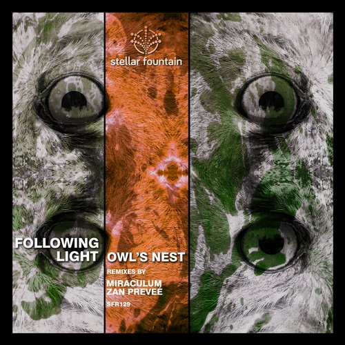Following Light – Owl’s Nest