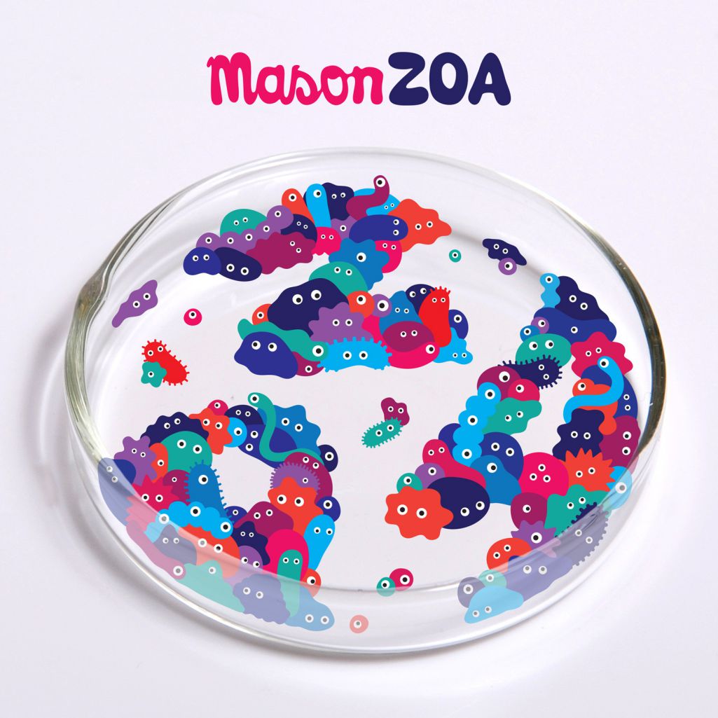 Mason – ZOA