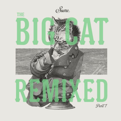 Coyu – The Big Cat Remixed Part 1