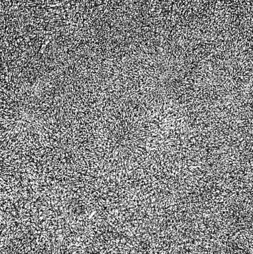 Ekman – Entropy