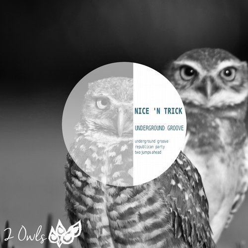 Nice N Trick – Underground Groove