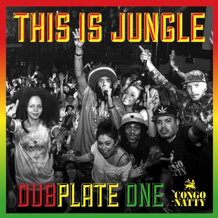 Congo Natty – This Is Jungle