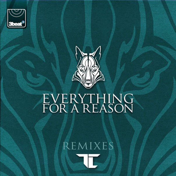 TC – Everything For A Reason (The Remixes)
