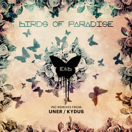 Eagles & Butterflies – Birds Of Paradise