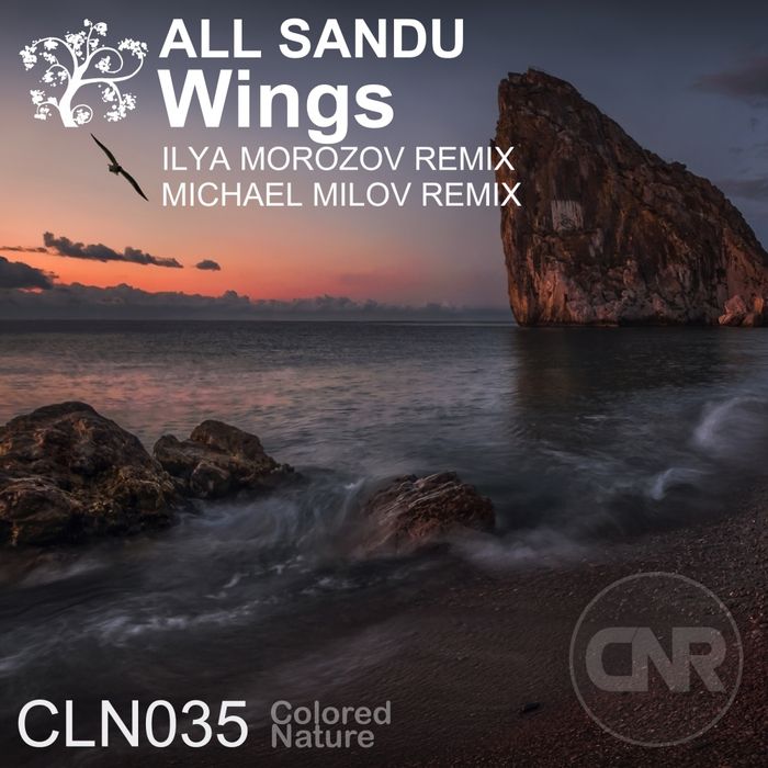 All Sandu – Wings (Remixes)