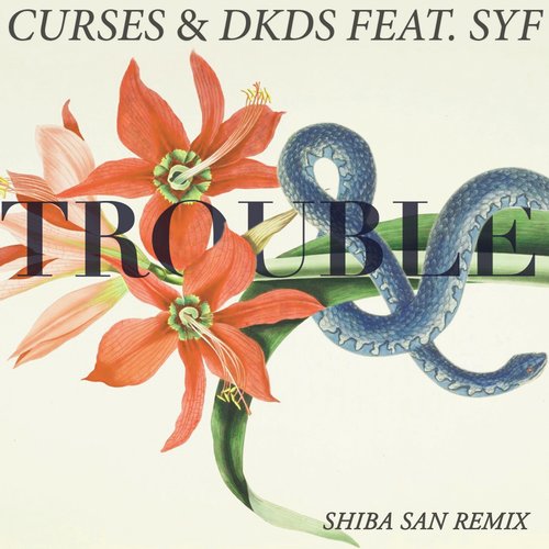 Curses & DKDS Feat. SYF – Trouble (Shiba San Remix)