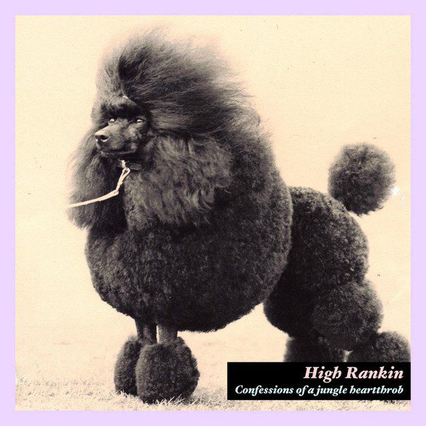 High Rankin – Confessions Of A Jungle Heartthrob