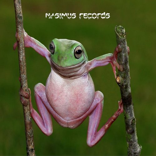 Nacim Ladj – Froggy EP