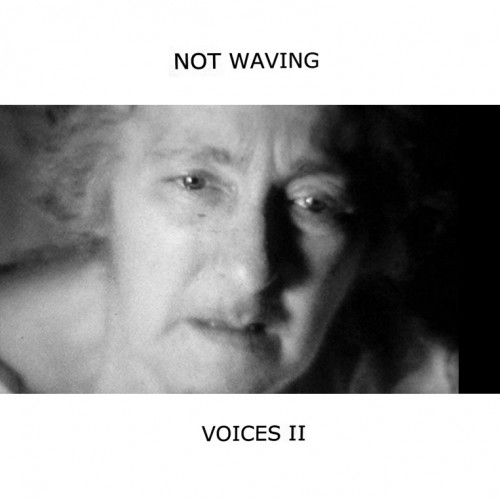 Not Waving – Voices II