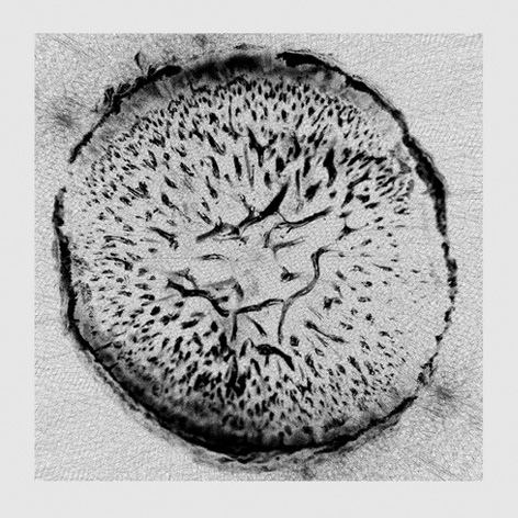 Drop – Vasundhara EP
