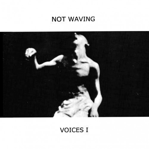 Not Waving – Voices I